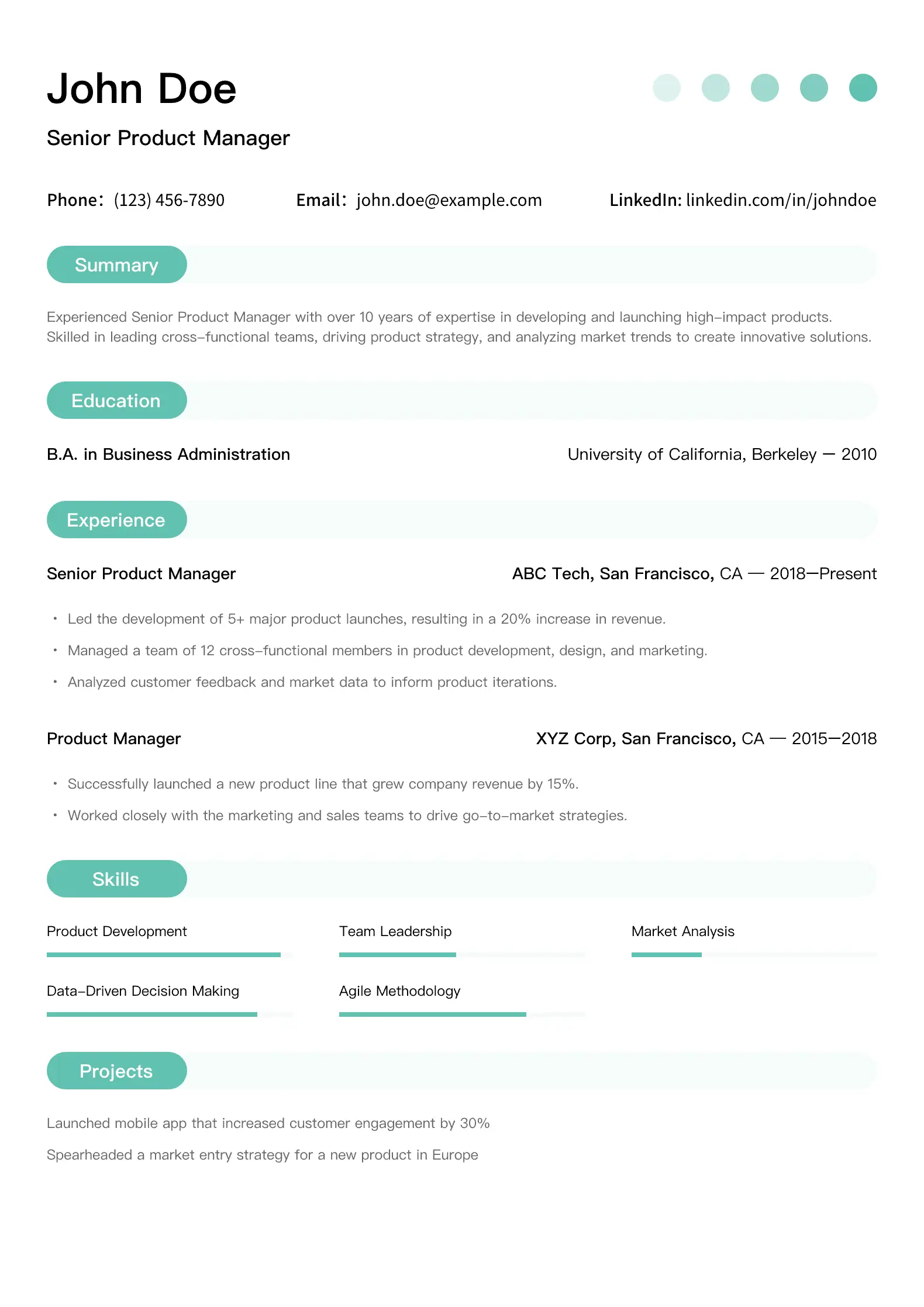 Resume Template